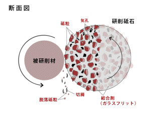 機能性セラミック用ガラスフリットの一例であるビトリファイド系研削砥石の断面図